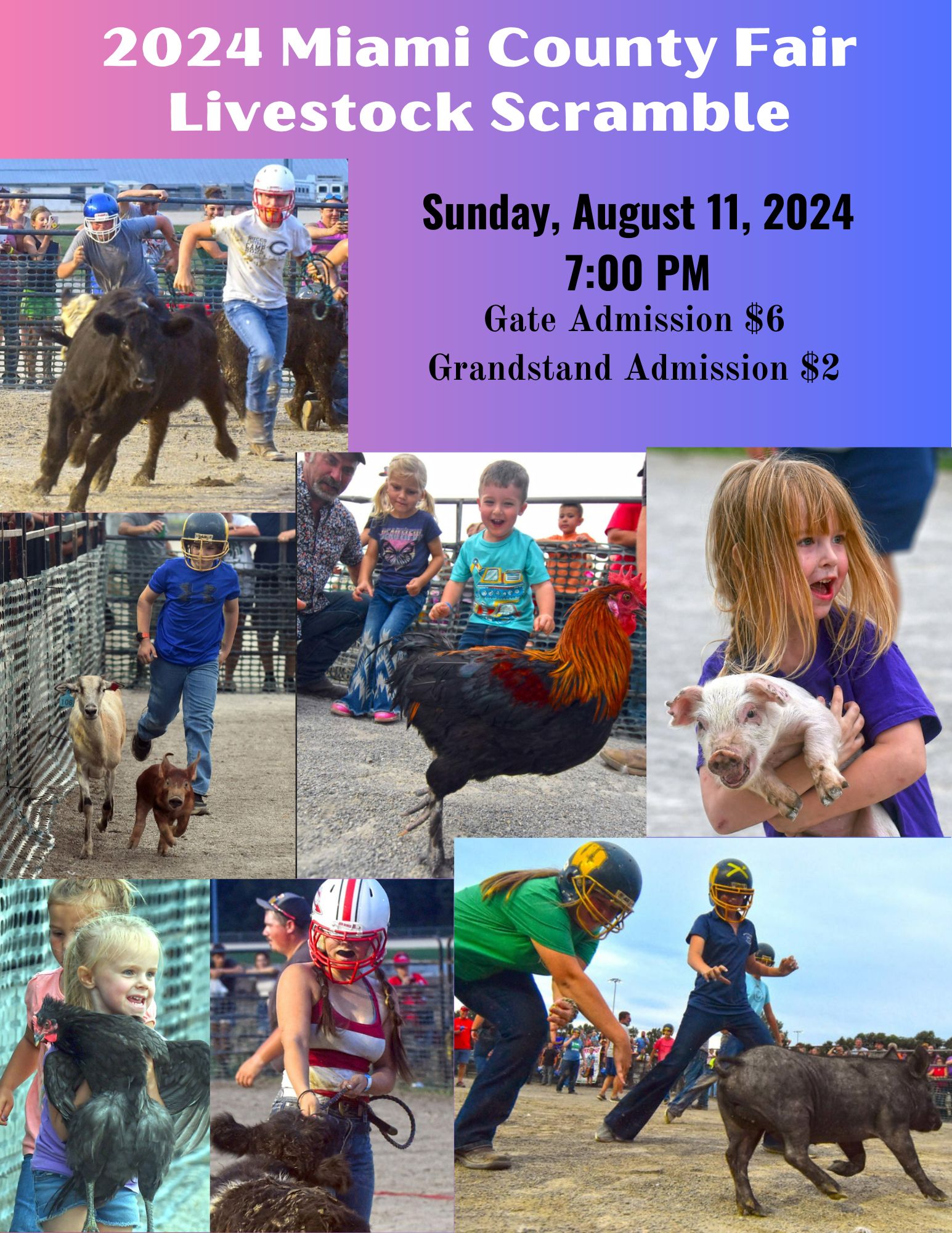 Livestock Scramble