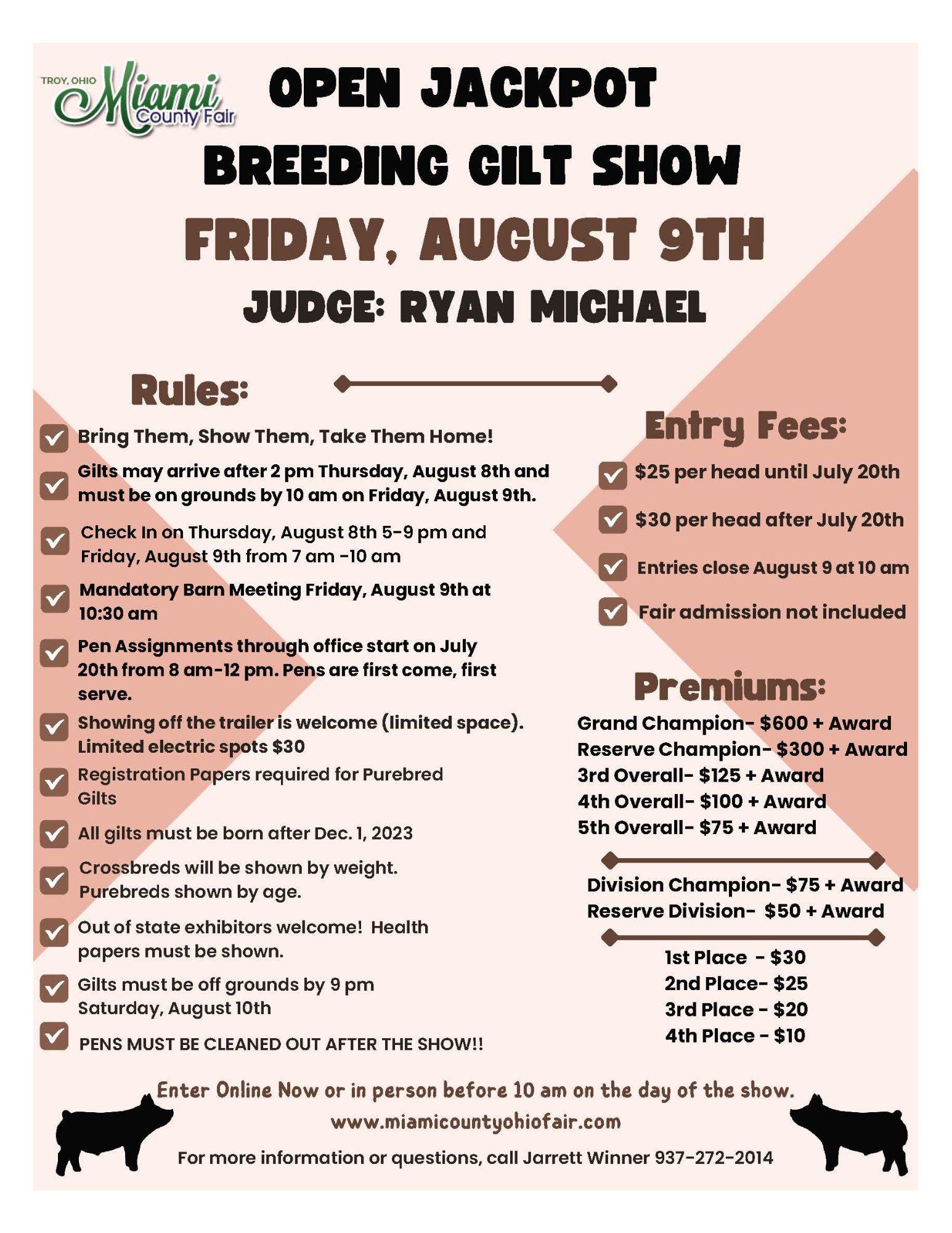 Open Jackpot Breeding Gilt Show